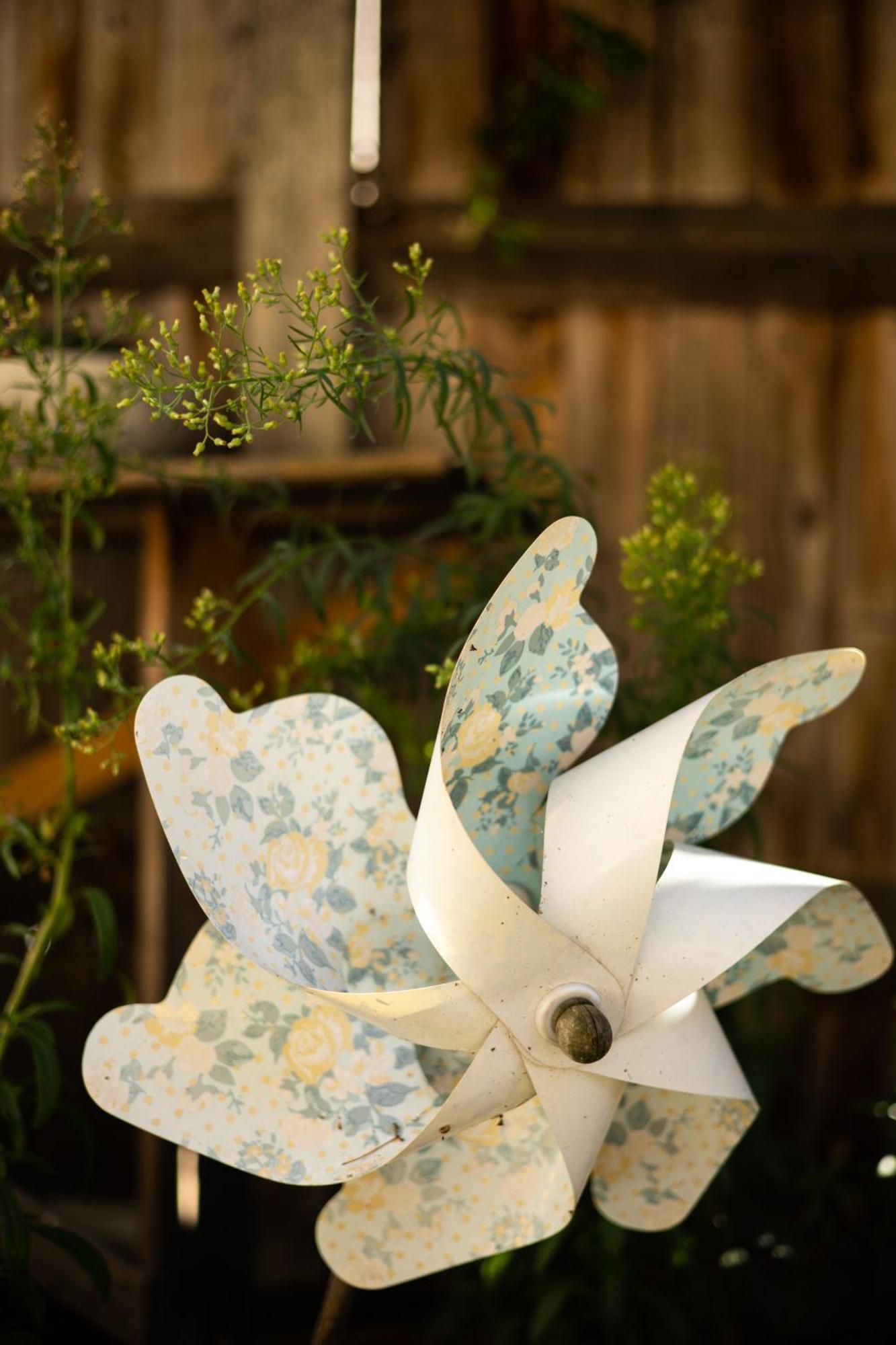 Victorian Woods Couette-café *